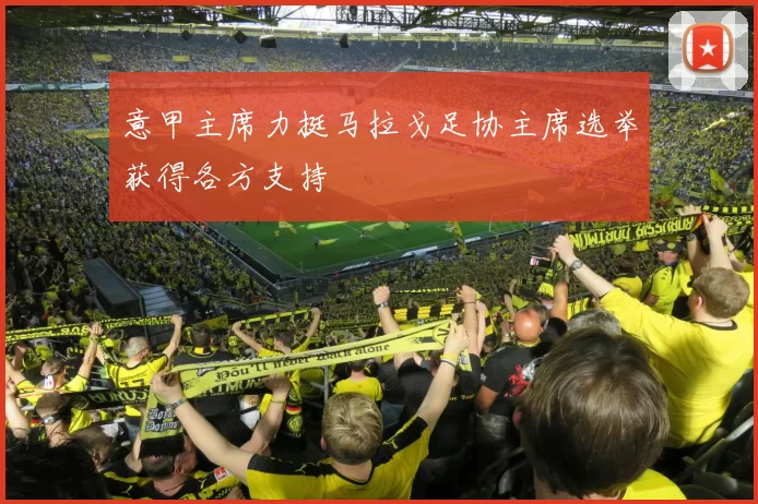 意甲主席力挺马拉戈足协主席选举获得各方支持